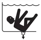 PENTAIR 79011359 Dorado Automatic Pool Cleaner - Icon 3