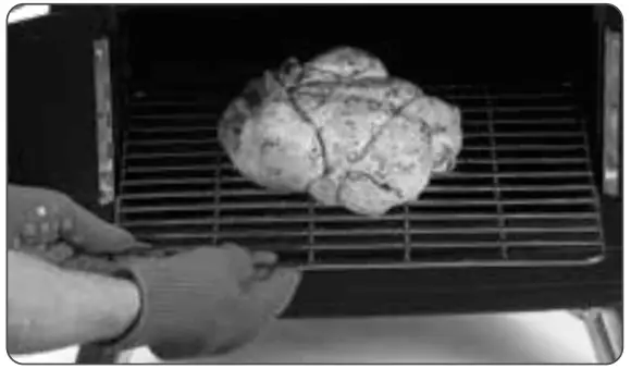 FOR COOKING IN THE OVEN CHAMBER