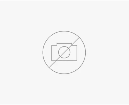 FISHER PAYKEL 25781 Door Panel for Integrated Ice and Water Refrigerator Freezer