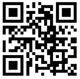 Metropwr FXMASTER 8 Band Audio Equalizer - qr cord 2