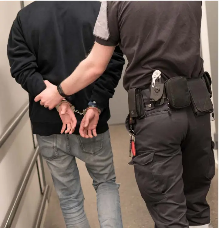 Pro-Vision Mobile Video Solutions for Corrections - Fig 3