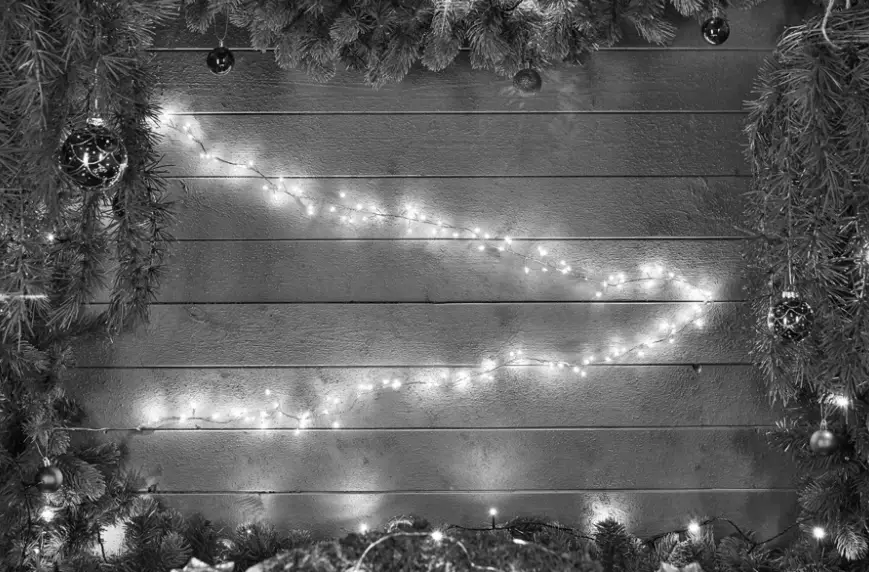 EKVIP-022497-String-Lights-product