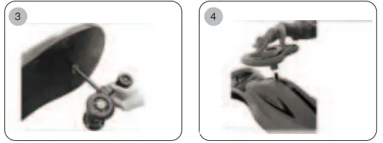 Toyz-Fiesta-rides-and-walkers-for-children-Fig-02