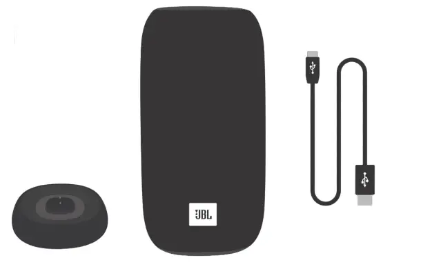 JBL NFAQNEF6XI LINK Portable Bluetooth Speaker