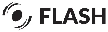 Flash logo