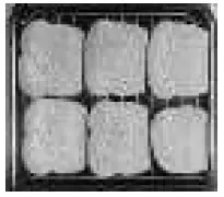 BLACK DECKER TOD6020BC Air Fry Toaster Oven 14