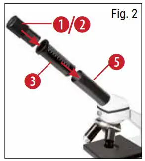 How do I adjust my microscope correctly