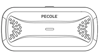 PECOLE PE 18 Dog Training Collar with Remote - Fig 1