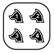 PECOLE PE 18 Dog Training Collar with Remote - Fig 17