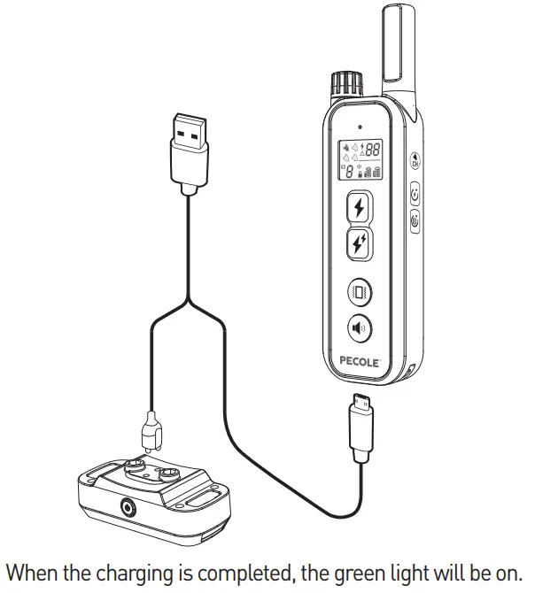 PECOLE PE 18 Dog Training Collar with Remote - Fig 19