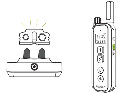 PECOLE PE 18 Dog Training Collar with Remote - Fig 23