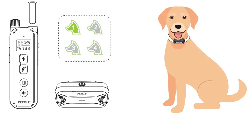 PECOLE PE 18 Dog Training Collar with Remote - Fig 27
