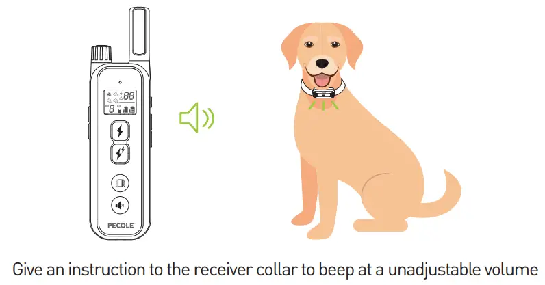 PECOLE PE 18 Dog Training Collar with Remote - Fig 31