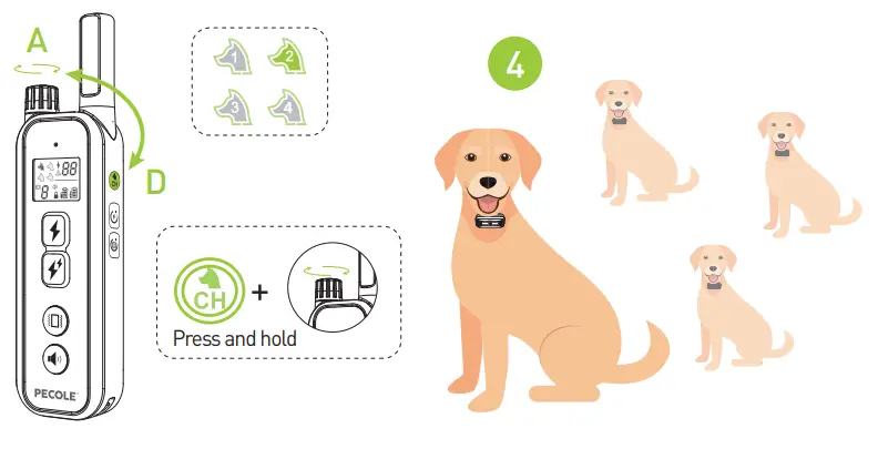 PECOLE PE 18 Dog Training Collar with Remote - Fig 34