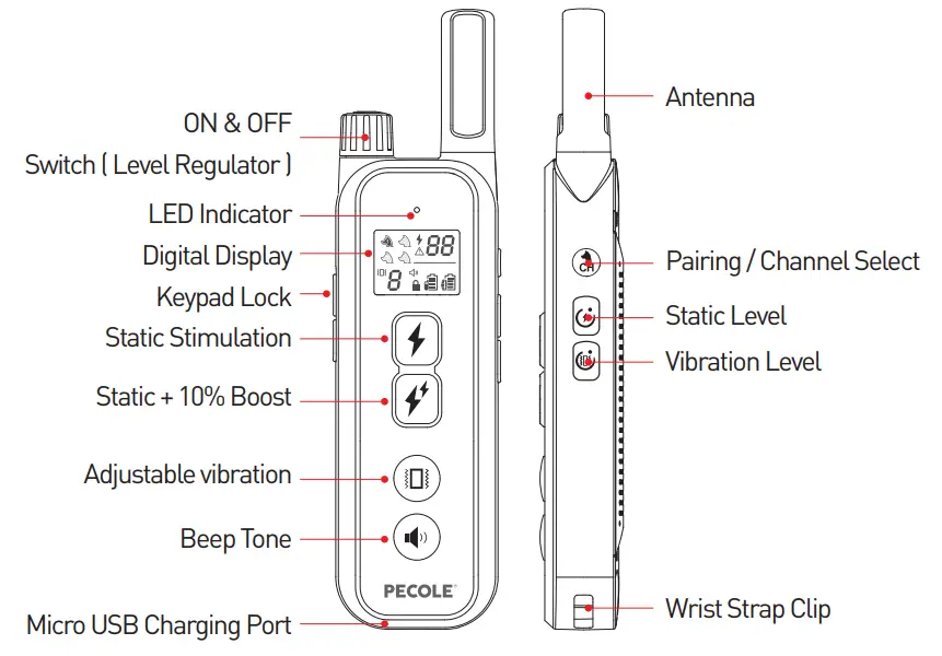 PECOLE PE 18 Dog Training Collar with Remote - Fig 8
