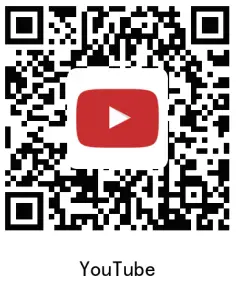 PECOLE PE 18 Dog Training Collar with Remote - Qr4