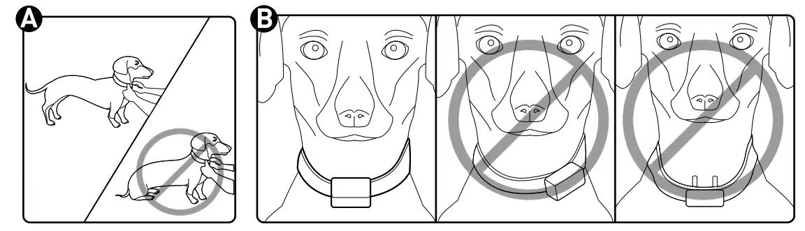 PATPET P-305 Dog Training Collar User - Fig 10