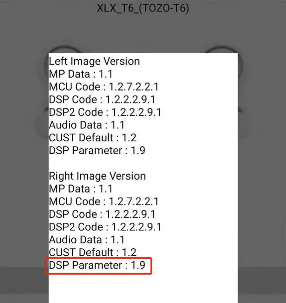 TOZO T6 True Wireless Earbuds - Upgraded successful confirmation.