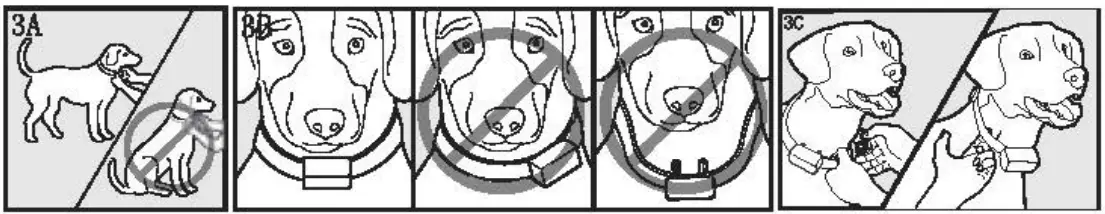 rabbitgoo OT2 Dog Training Collar - fig 14