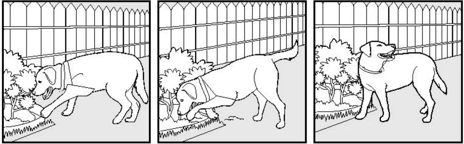 rabbitgoo OT2 Dog Training Collar - fig 2