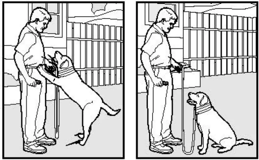 rabbitgoo OT2 Dog Training Collar - fig 3