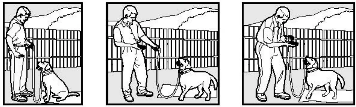 rabbitgoo OT2 Dog Training Collar - fig 4