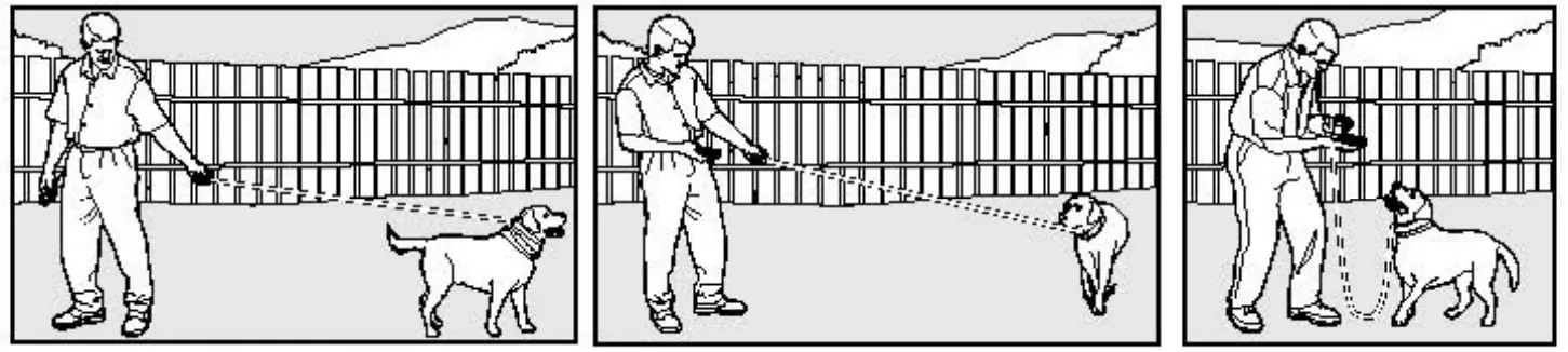 rabbitgoo OT2 Dog Training Collar - fig 5