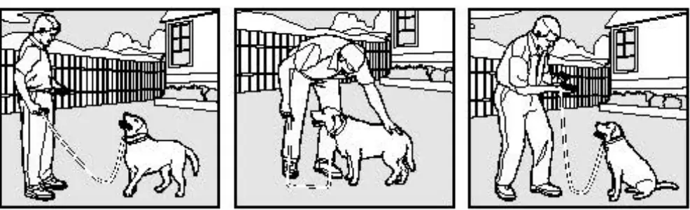 rabbitgoo OT2 Dog Training Collar - fig 6