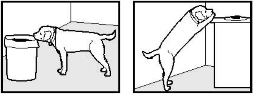 rabbitgoo OT2 Dog Training Collar - fig