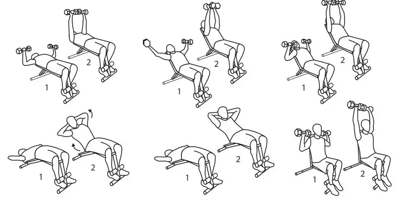 GOZONE Weight Bench - EXERCISE PROGRAMS