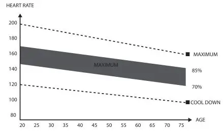 GOZONE Weight Bench - The Exercise Phase