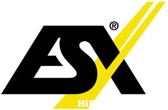 ESX logo