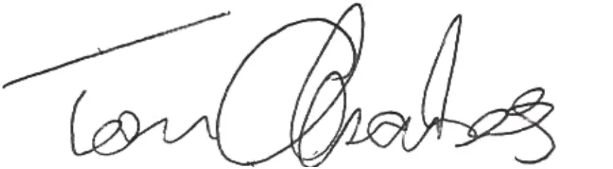 Einhell GC-CL 18 Li E Cordless Leaf Blower - Sig 2