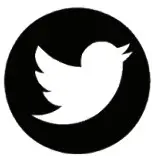 Twitter Icon
