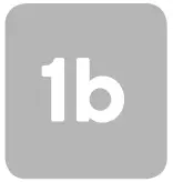 1b