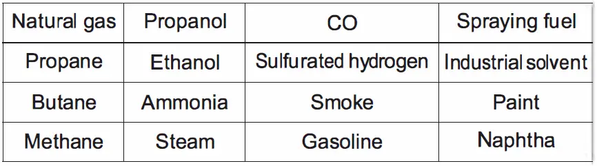 BENETECH GM8800B Combustible Gas Detector-2