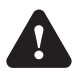 WARNING iCON