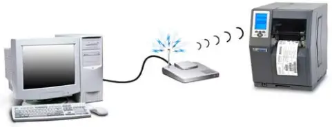 Network Card Setup - Wireless