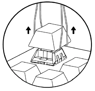 TECWARE-PHANTOM-plus-RGB-Mechanical-Keyboard-FIG-15