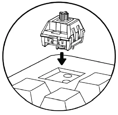TECWARE-PHANTOM-plus-RGB-Mechanical-Keyboard-FIG-18
