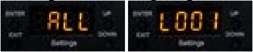 LASERWORLD CS 8000RGB FX Powerful Semi-Professional Pure Diode Laser - fig 2