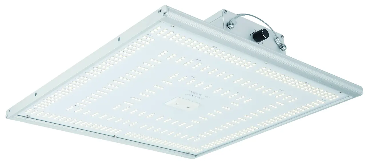 next light 150h Home Series LED Grow Light