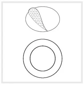 Laxihub B0925CVNRG Smart Indoor Wi-Fi- Installation