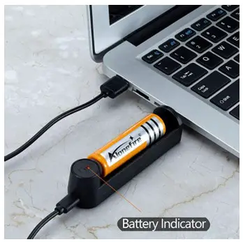 ALONEFIRE SV003 UV Flashlight-harge the battery