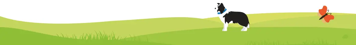 tractive 51005 GPS Tracker for Dogs - fig 1