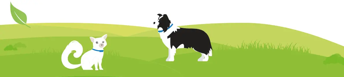 tractive 51005 GPS Tracker for Dogs - fig