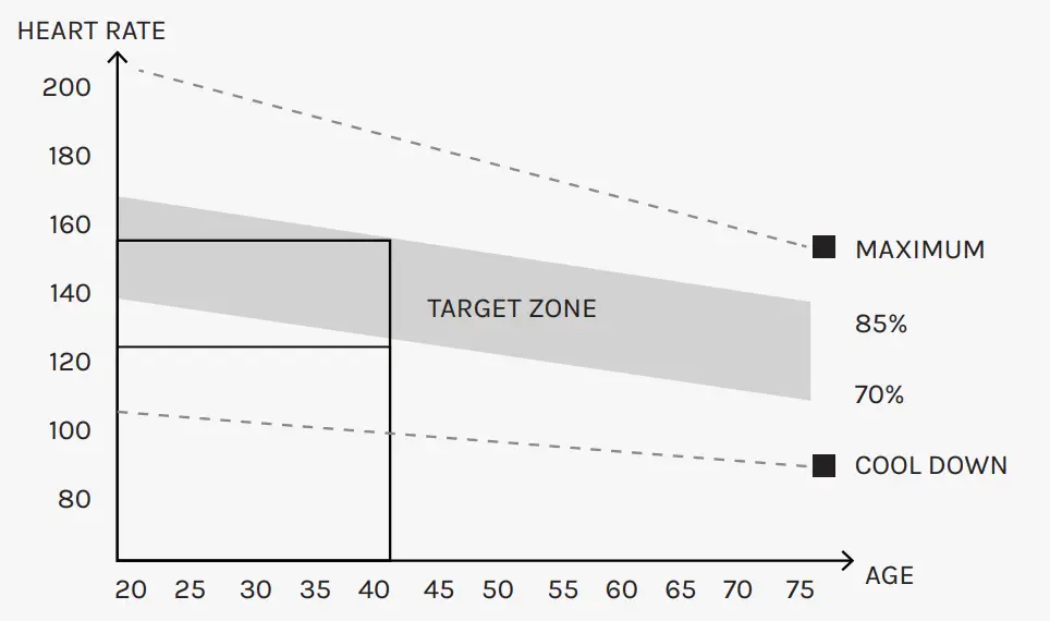 CORTEX BN 6 FID Bench Chin Up Dip Attachment - GUIDELINES