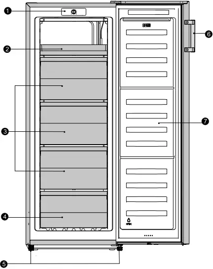 CFS3145V - DESCRIPTION