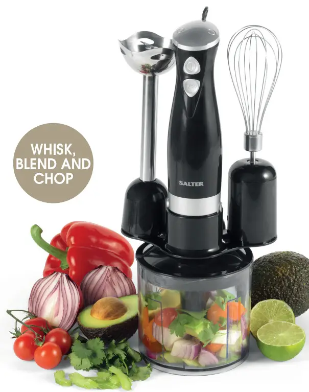 SALTER EK2827RV2 3 In 1 Blender Set
