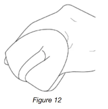 GENMAX GM6000iE 6000 Watt Dual Fuel Inverter Generator - fig 30